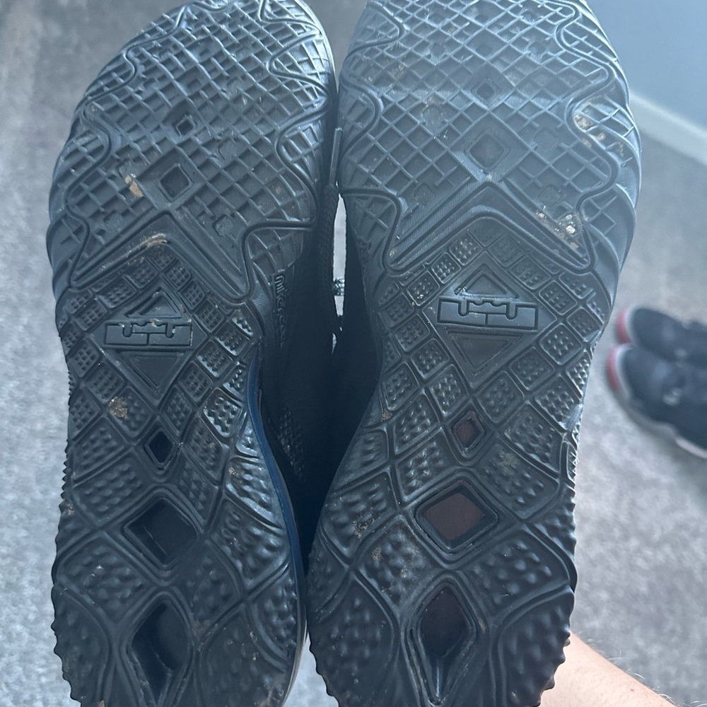 Lebrons Size 10.5 Worm 3x - Picture 4 of 6